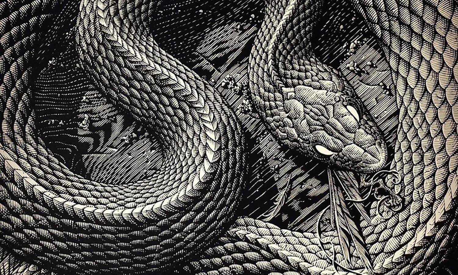 30 Best Snake Illustration Ideas You Should Check - Kreafolk