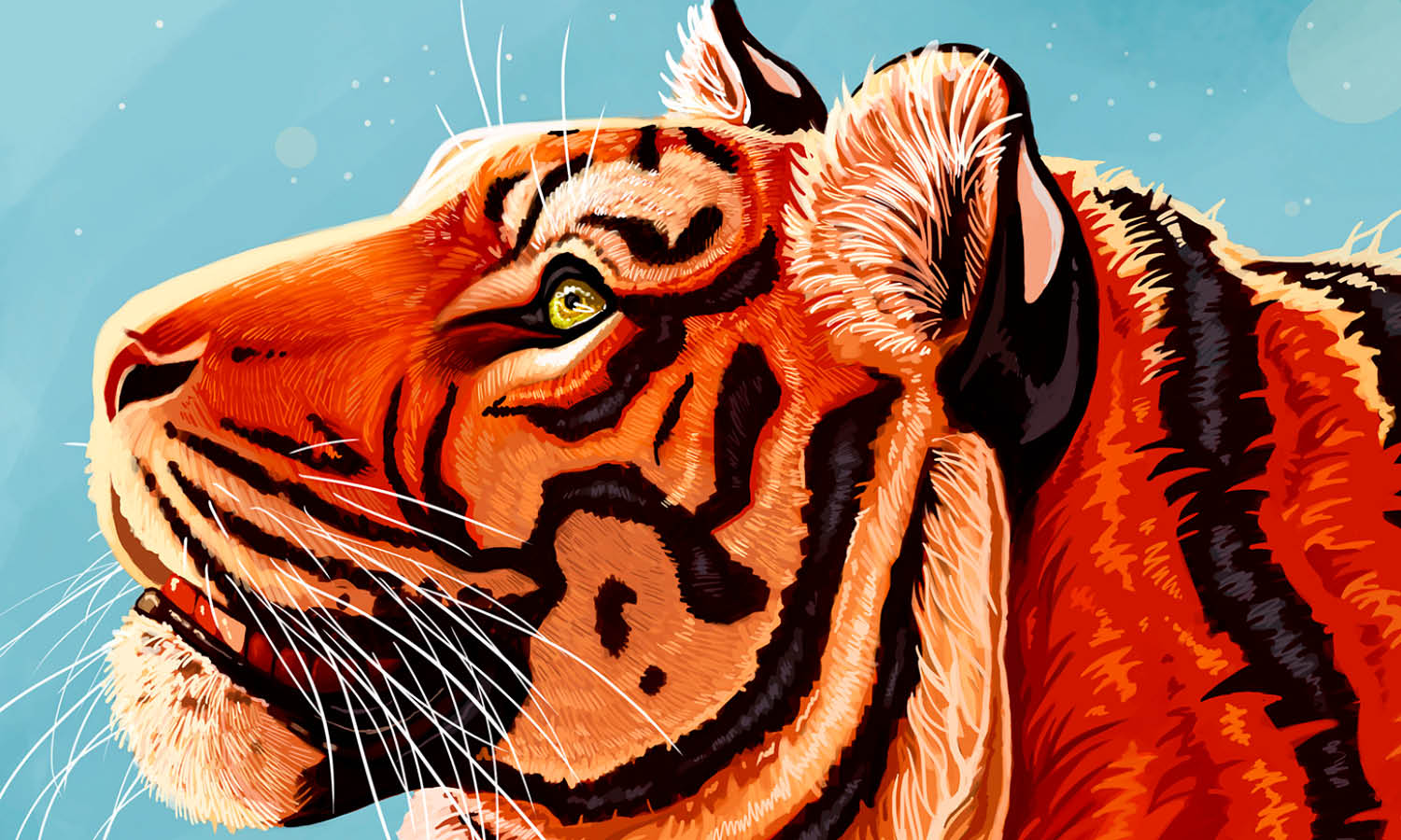 30 Best Tiger Illustration Ideas You Should Check - Kreafolk