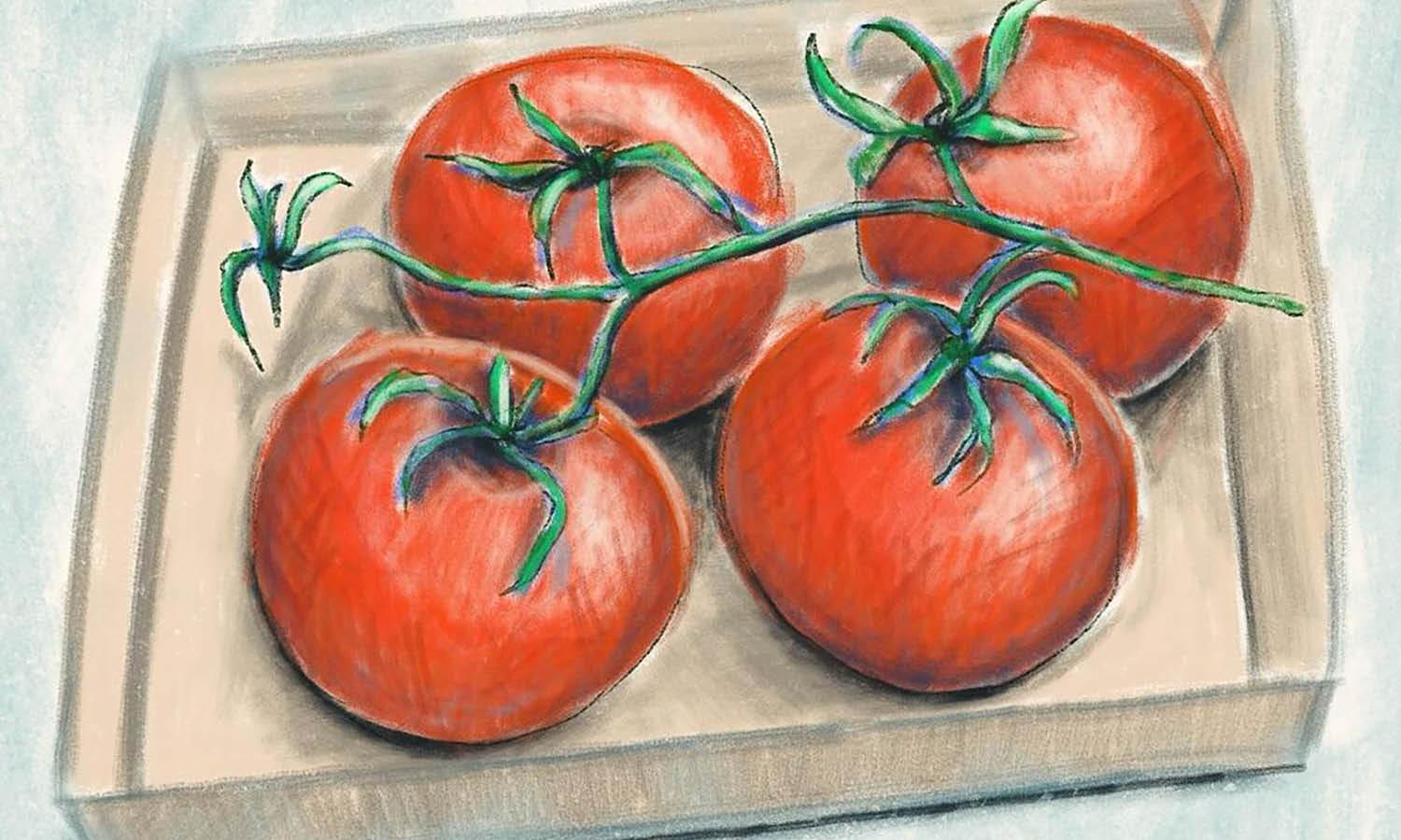 30 Best Tomato Illustration Ideas You Should Check - Kreafolk