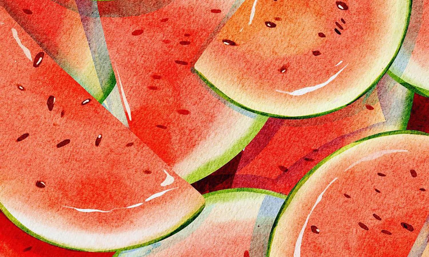 30 Best Watermelon Illustration Ideas You Should Check - Kreafolk