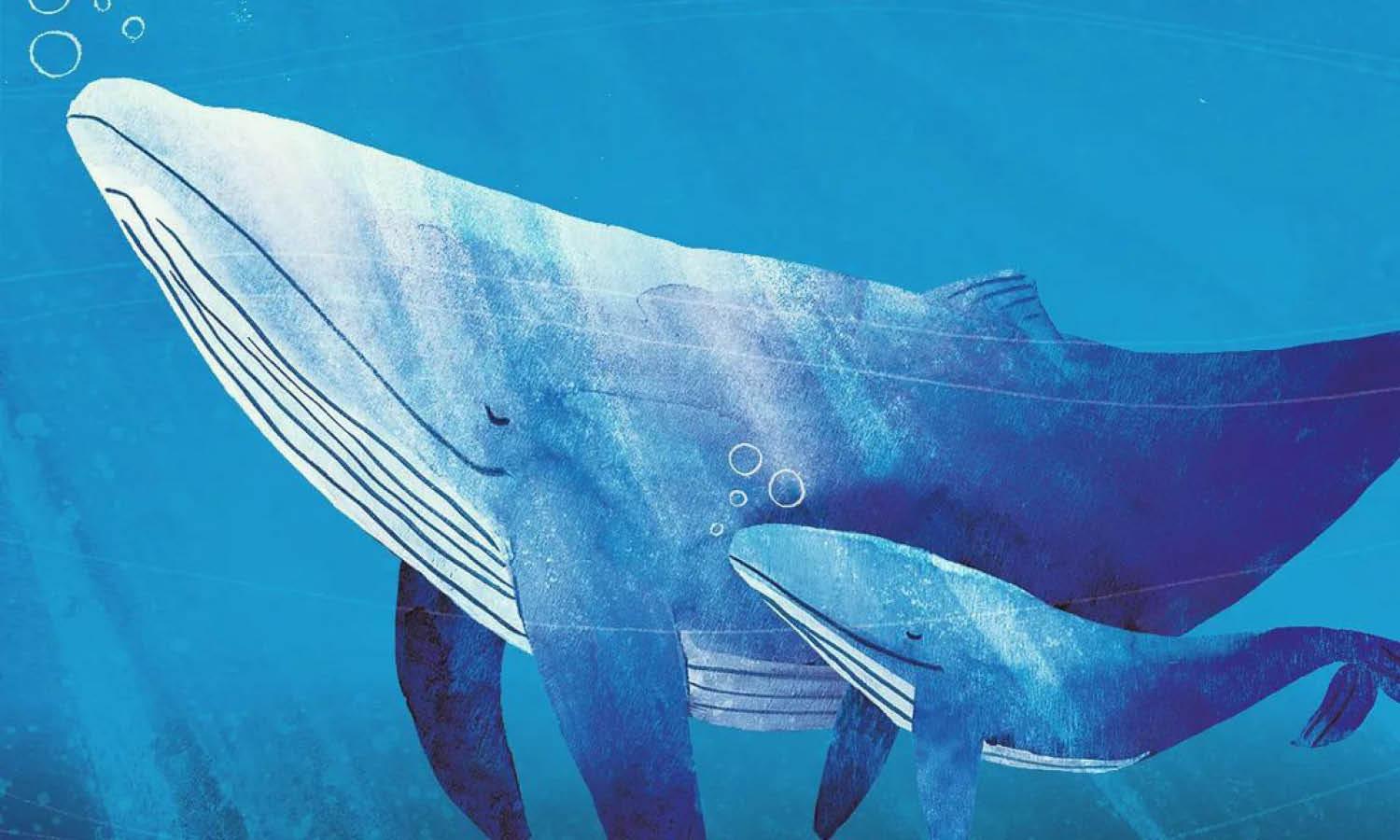 30 Best Whale Illustration Design Ideas You Should Check - Kreafolk
