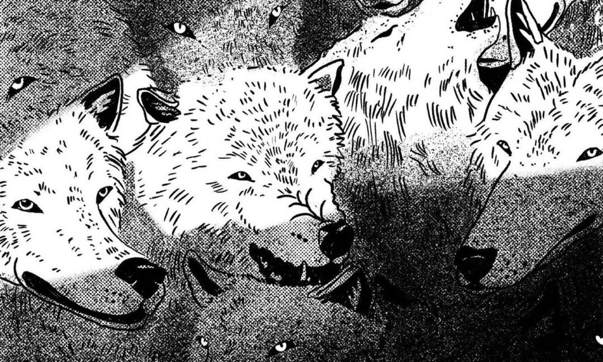 30 Best Wolf Illustration Design Ideas You Should Check