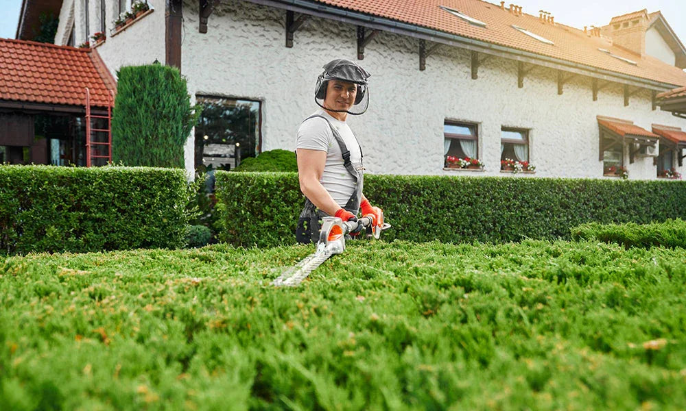 5 Reasons To Hire A Professional Landscaping Contractor For Your Home