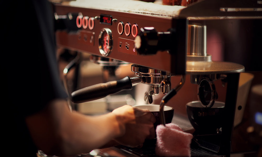 Best Bird Friendly® Coffee Brands in 2026: Ranked Picks for Shade-Grown, Biodiversity-First Coffee