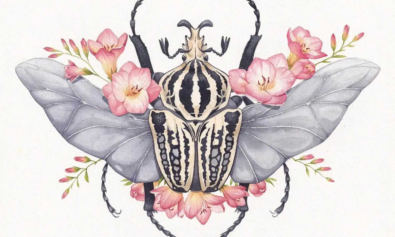 30 Best Beetle Illustration Ideas You Should Check