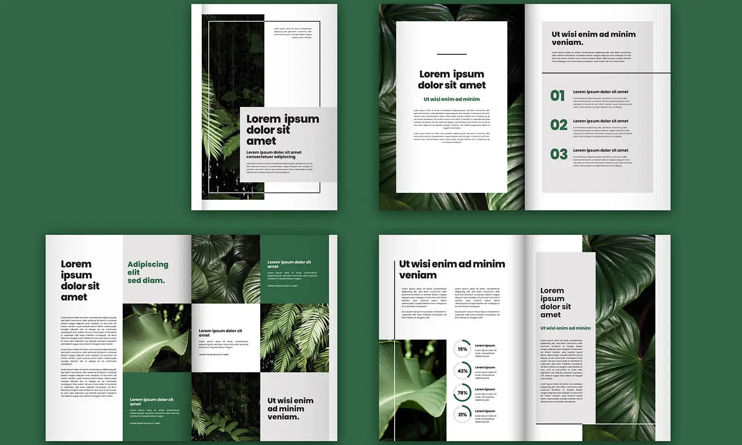 Beginner Introduction to Adobe InDesign Tools & Functions