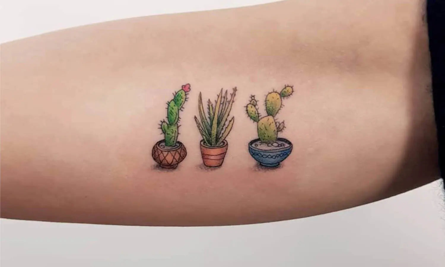 30 Best Cactus Tattoo Ideas You Should Check