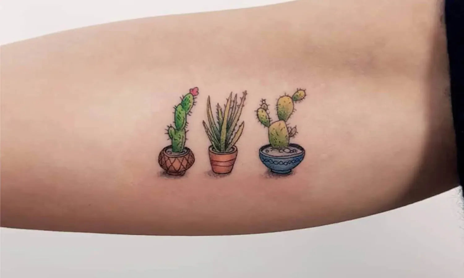 30 Best Cactus Tattoo Ideas You Should Check
