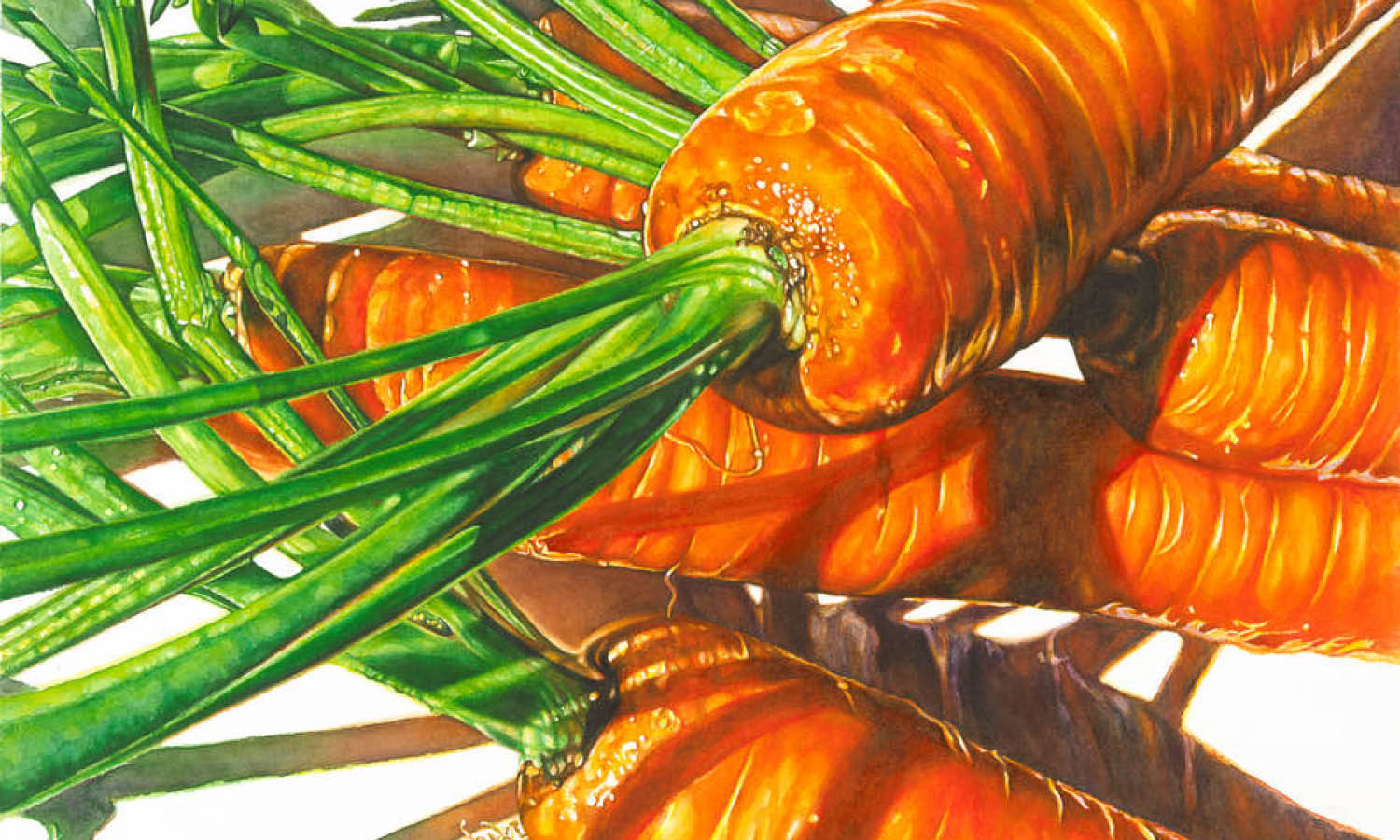 30 Best Carrot Illustration Ideas You Should Check