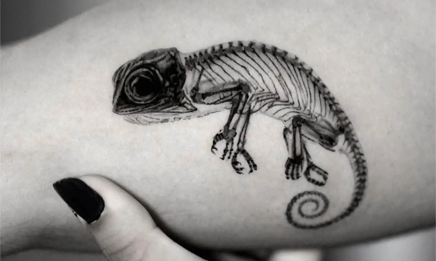 30 Best Chameleon Tattoo Ideas You Should Check