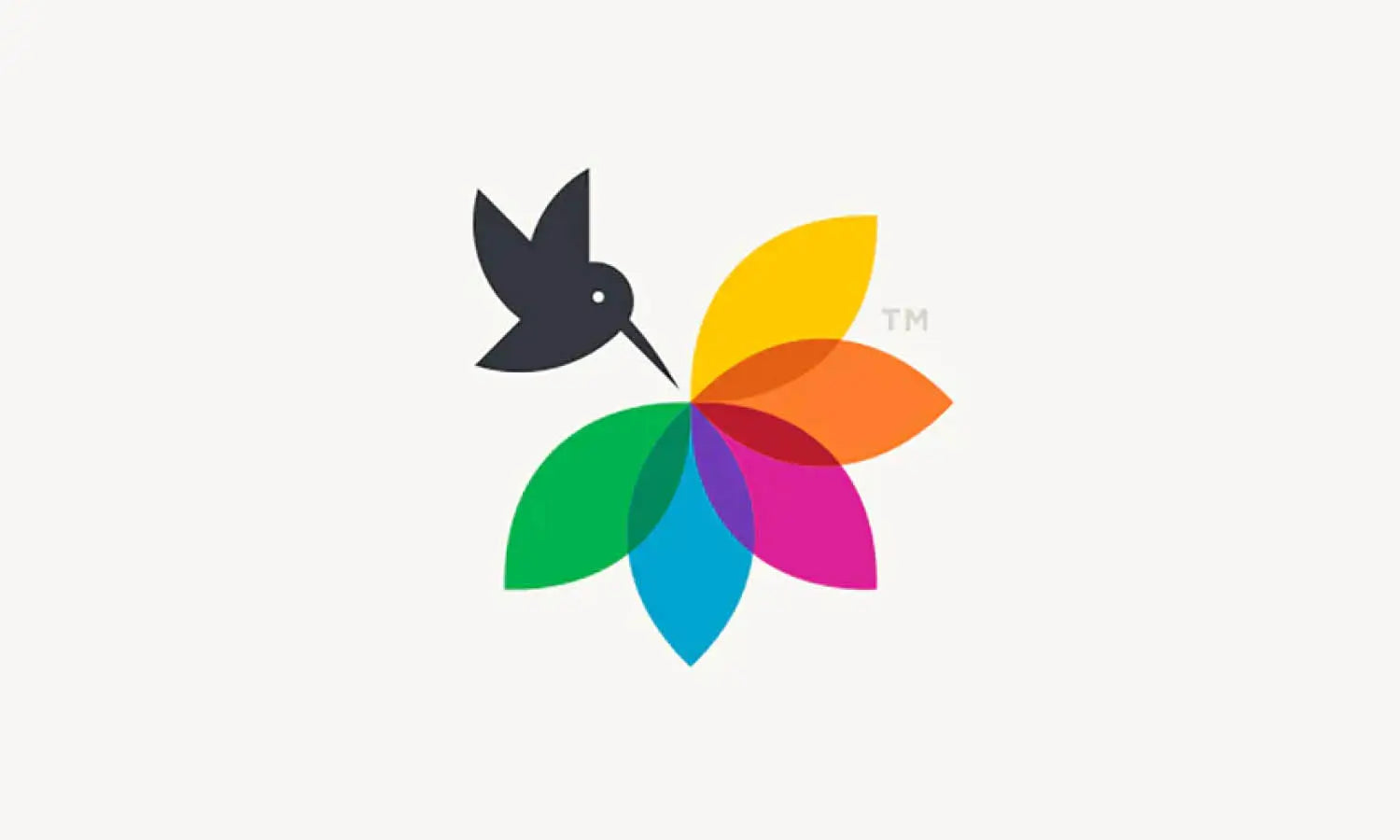 30 Best Hummingbird Logo Design Ideas You Should Check