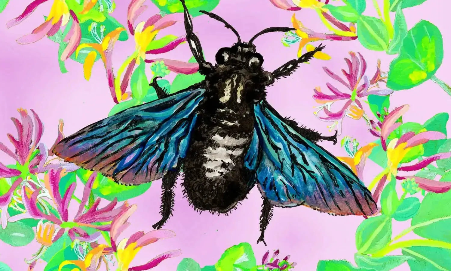30 Best Insect Illustration Ideas You Should Check