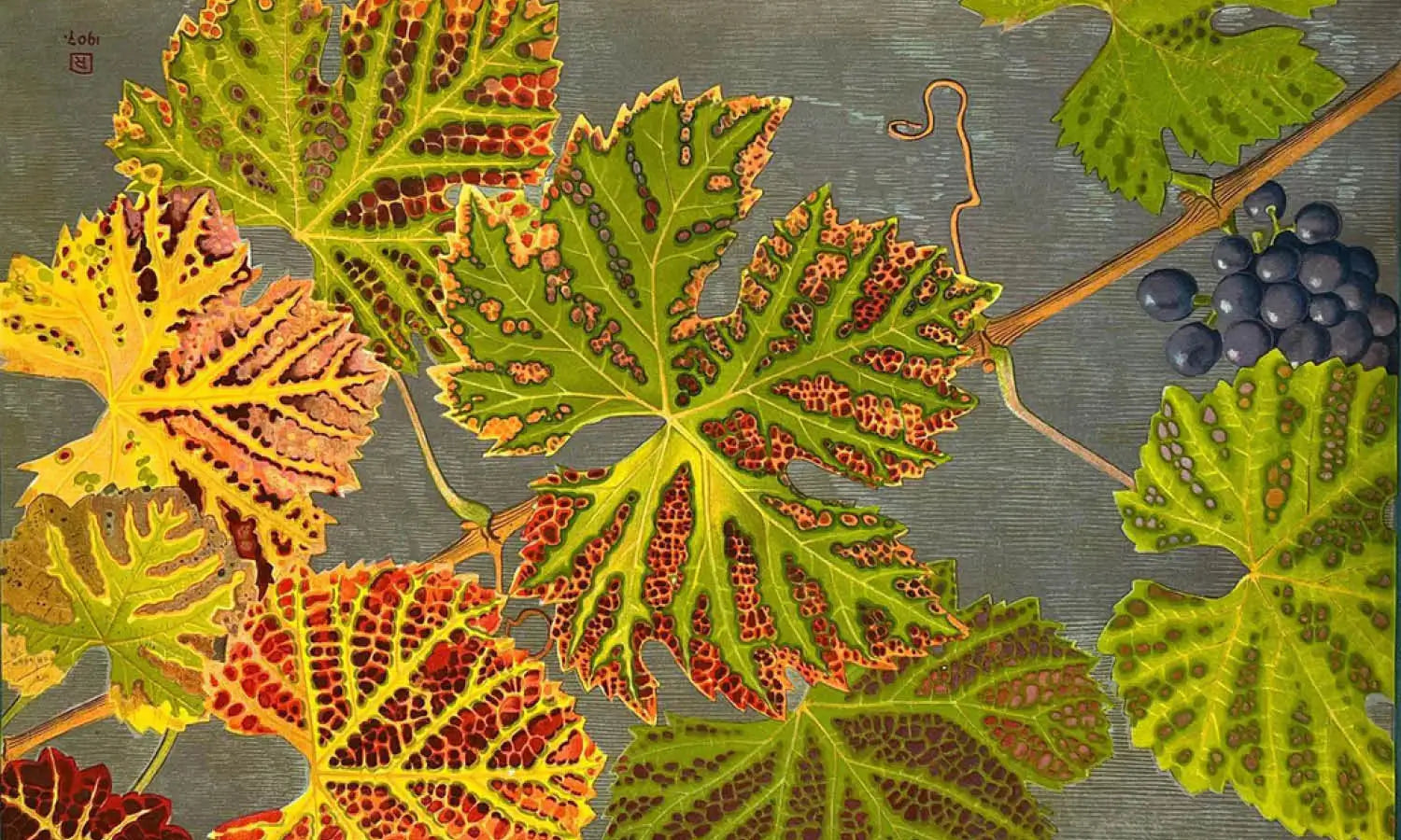 30 Best Leaf Illustration Ideas You Should Check
