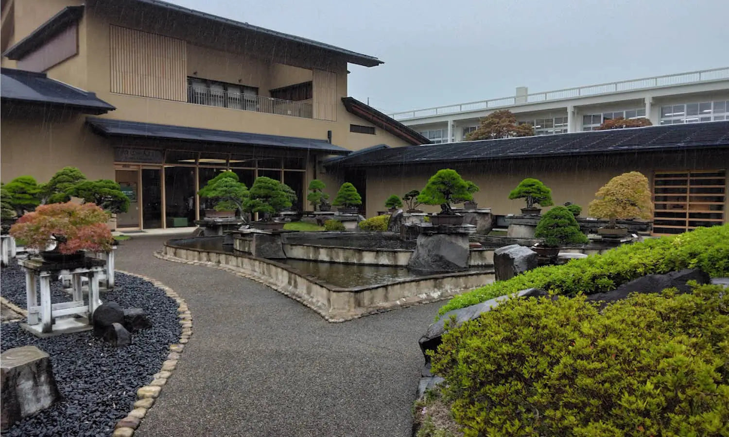 Omiya Bonsai Art Museum, Saitama | Art Museum Guide