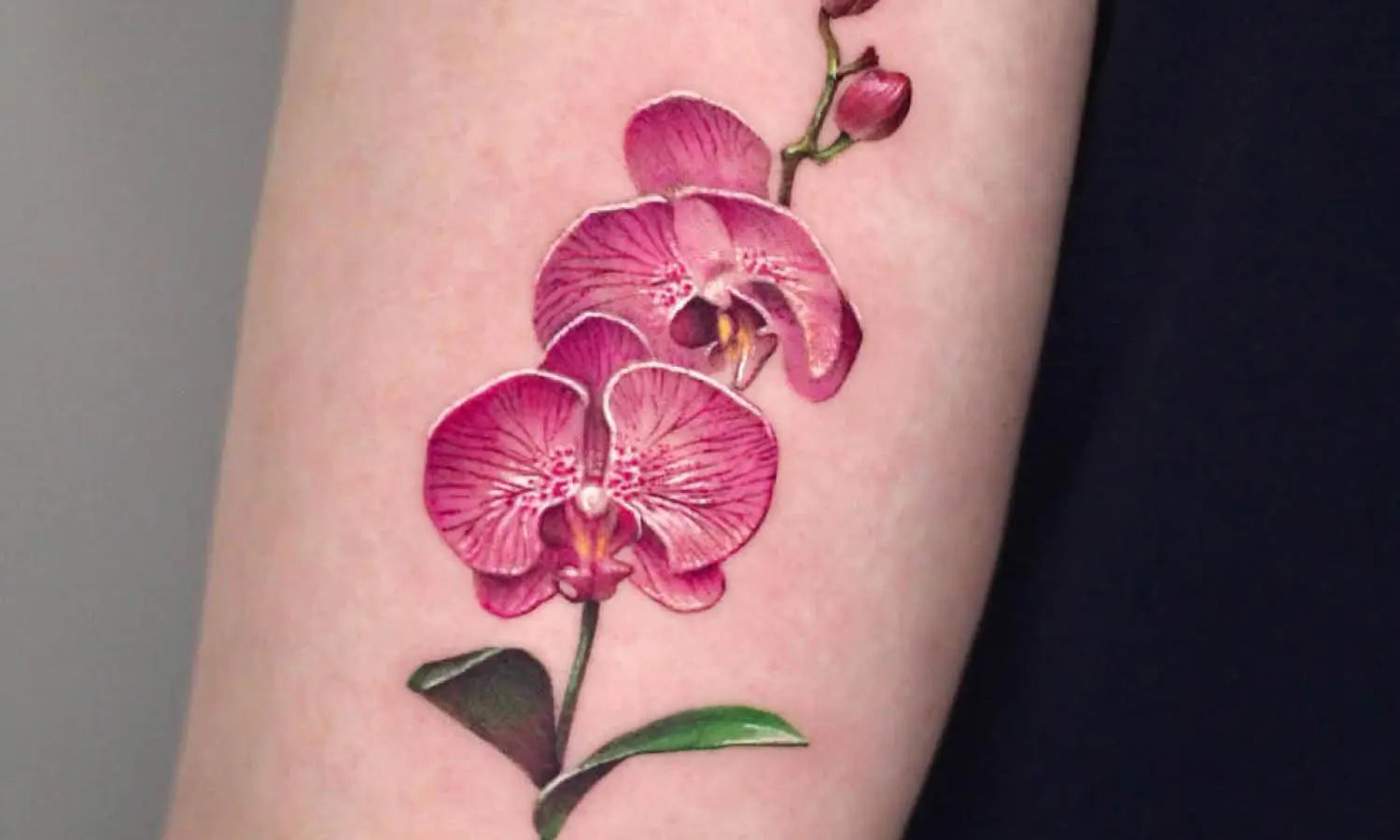 30 Best Orchid Tattoo Ideas You Should Check