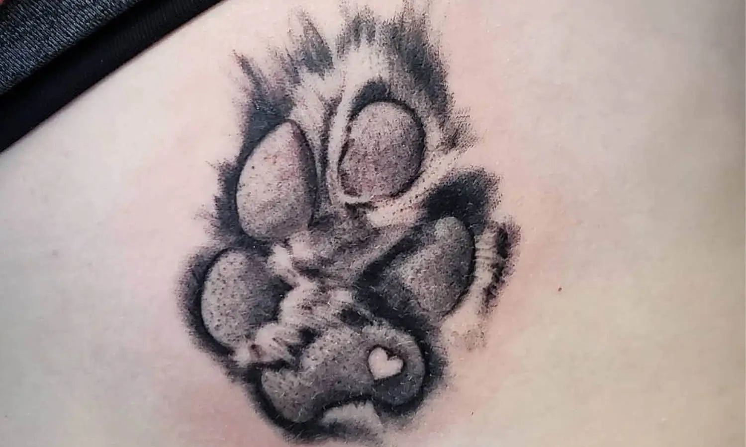 30 Best Paw Print Tattoo Ideas You Should Check