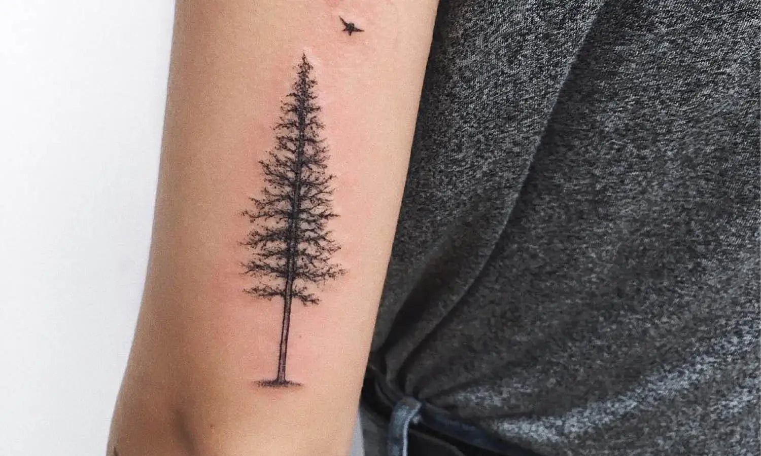 30 Best Pine Tree Tattoo Ideas You Should Check