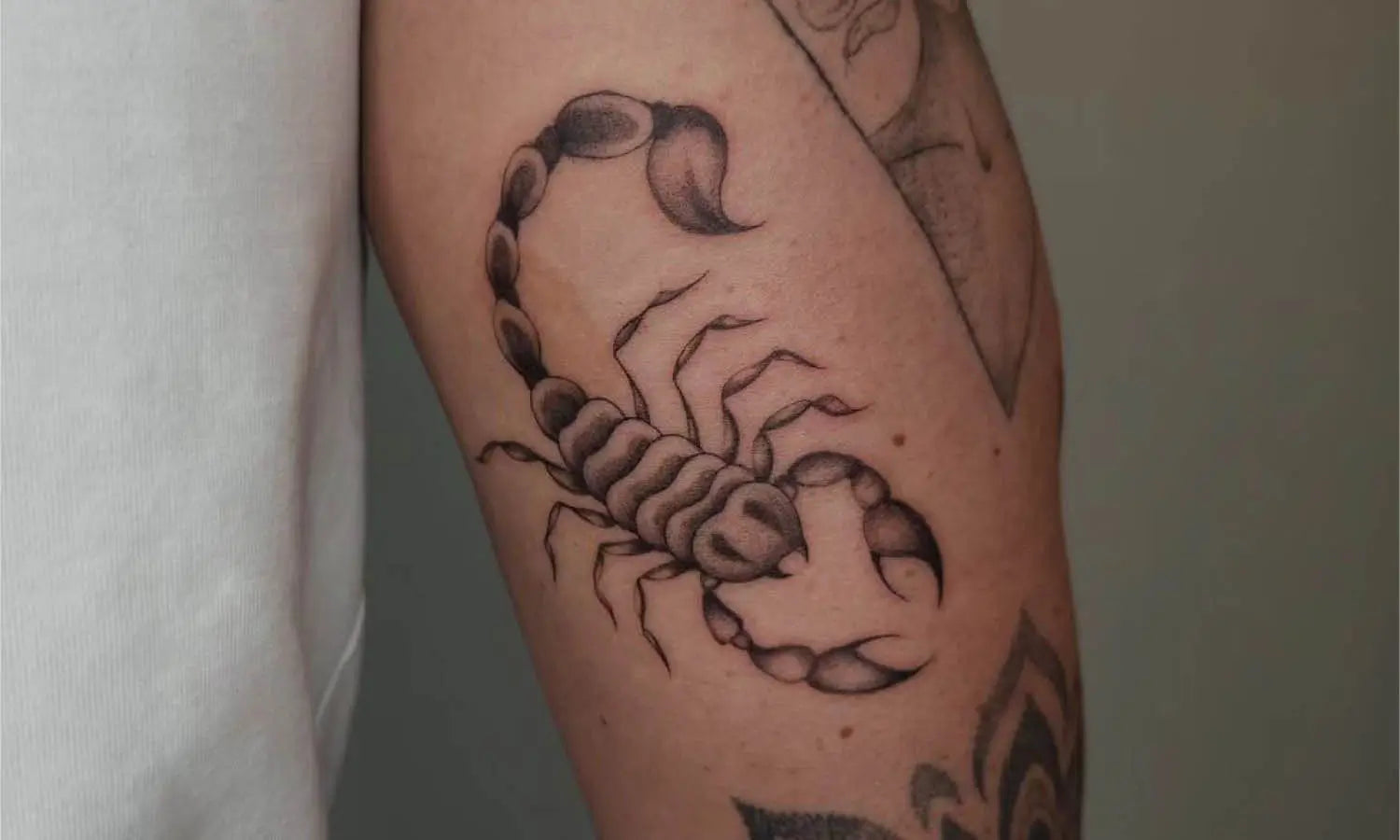 30 Best Scorpion Tattoo Ideas You Should Check