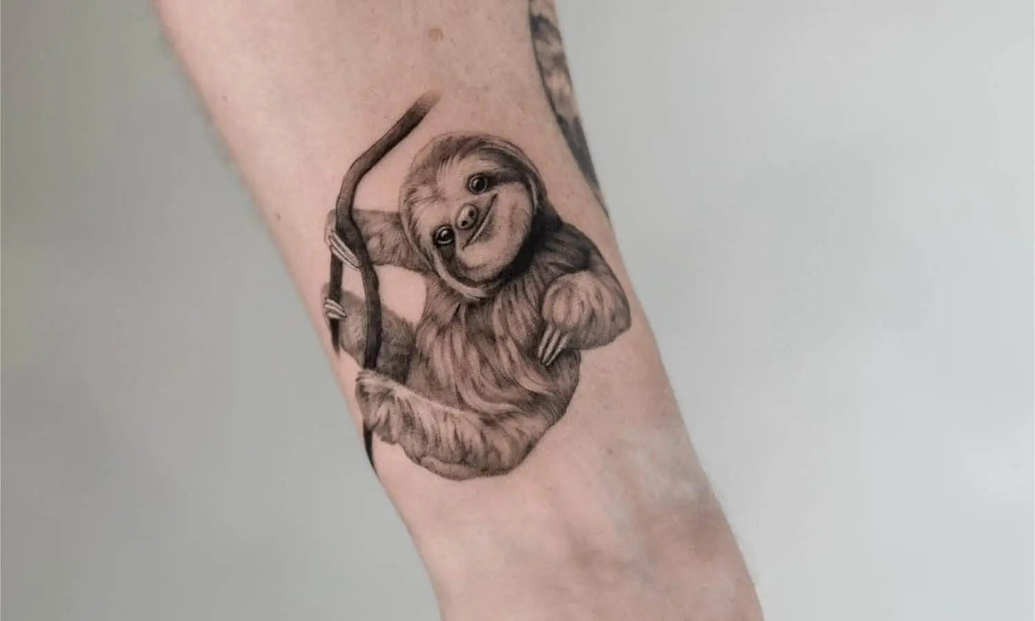 30 Best Sloth Tattoo Ideas You Should Check