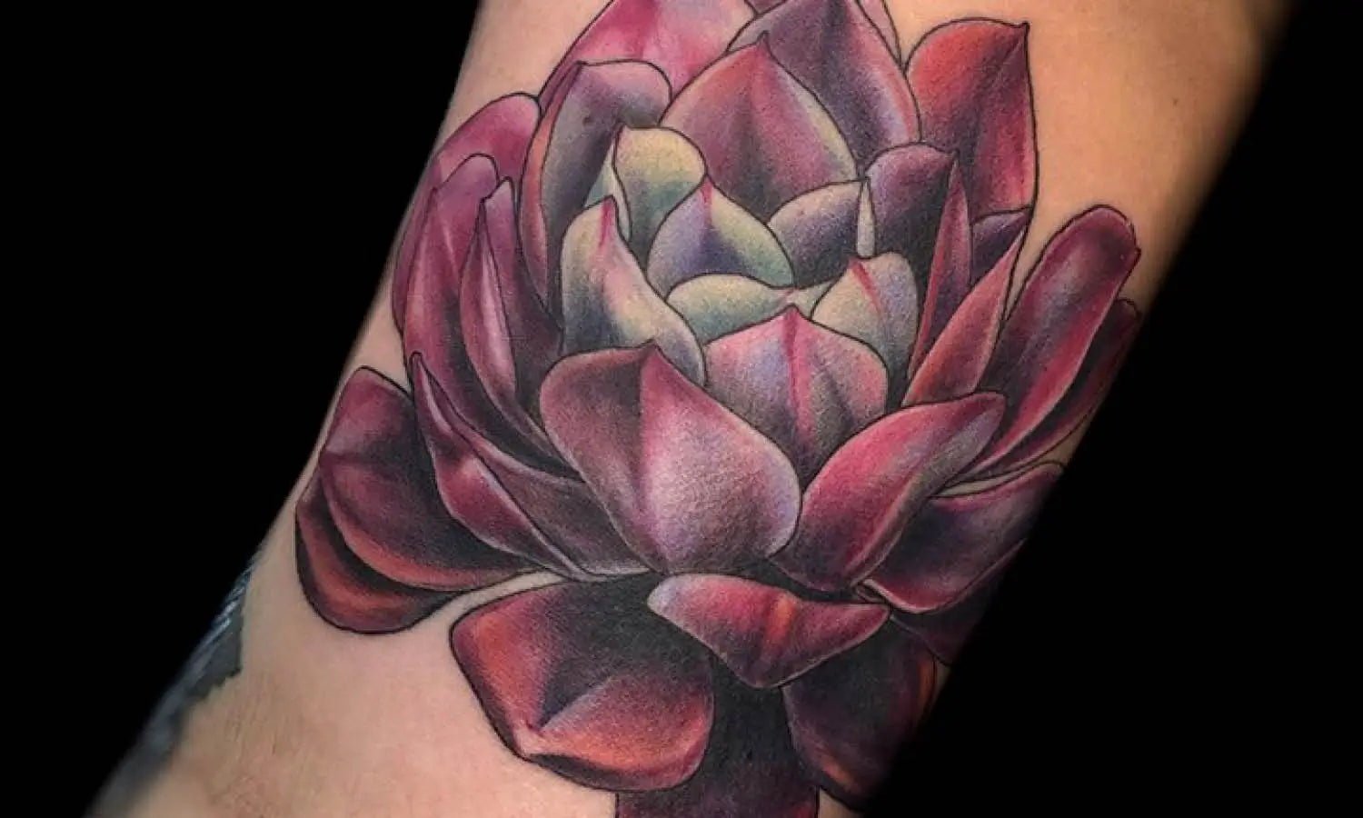 30 Best Succulent Tattoo Ideas You Should Check