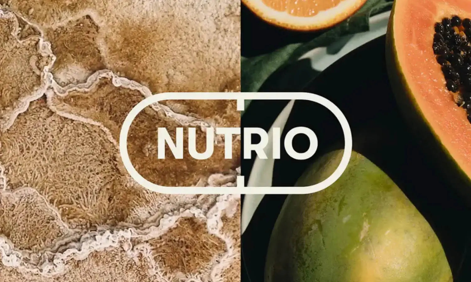 30 Best Supplement Logo Design Ideas You Should Check