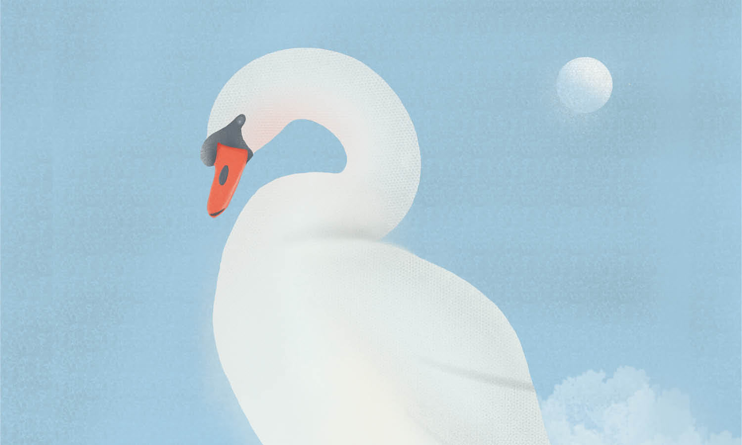 30 Best Swan Illustration Ideas You Should Check