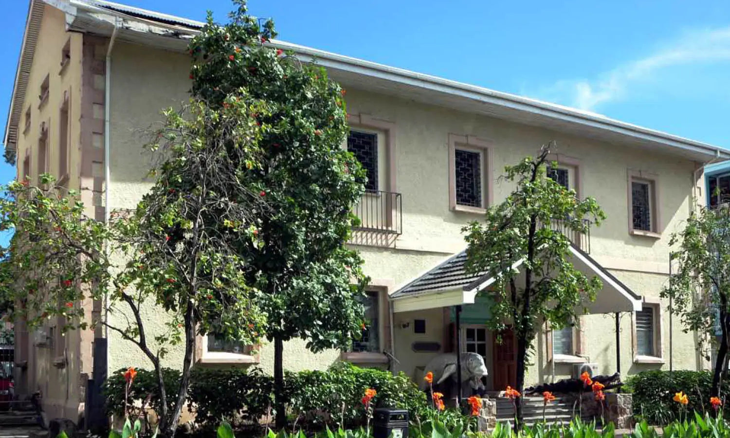Top Art Museums in Seychelles You Should Visit