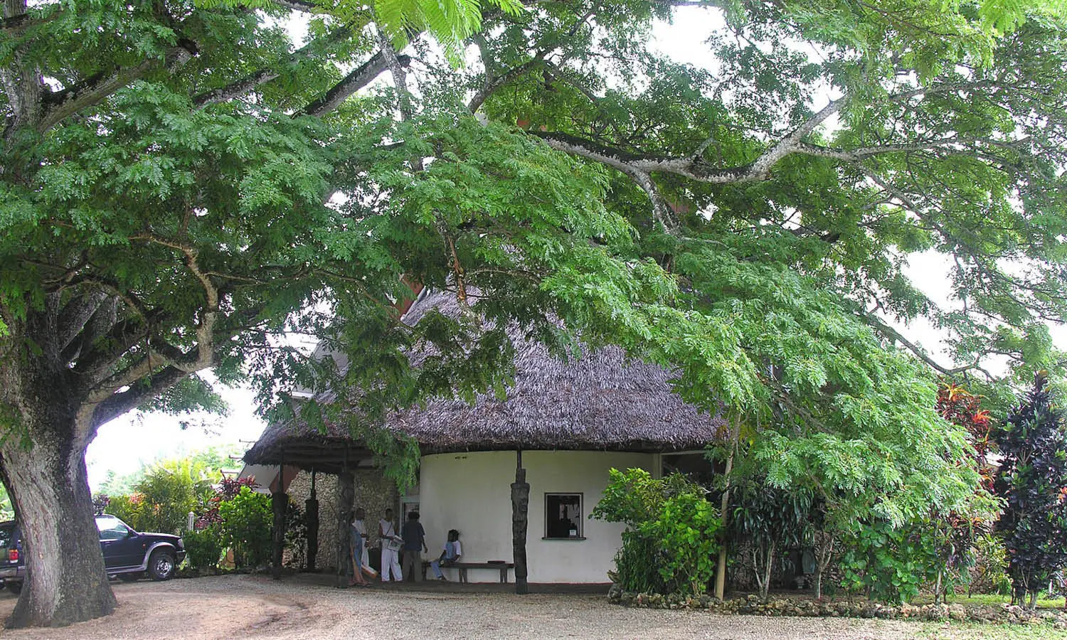 Top Art Museums in Vanuatu You Should Visit