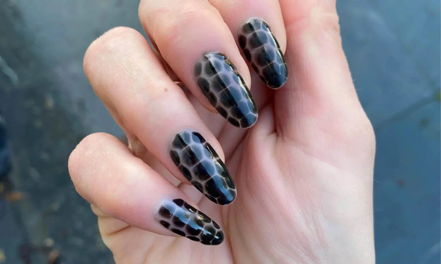 30 Best Turtle Nail Design Ideas You Should Check