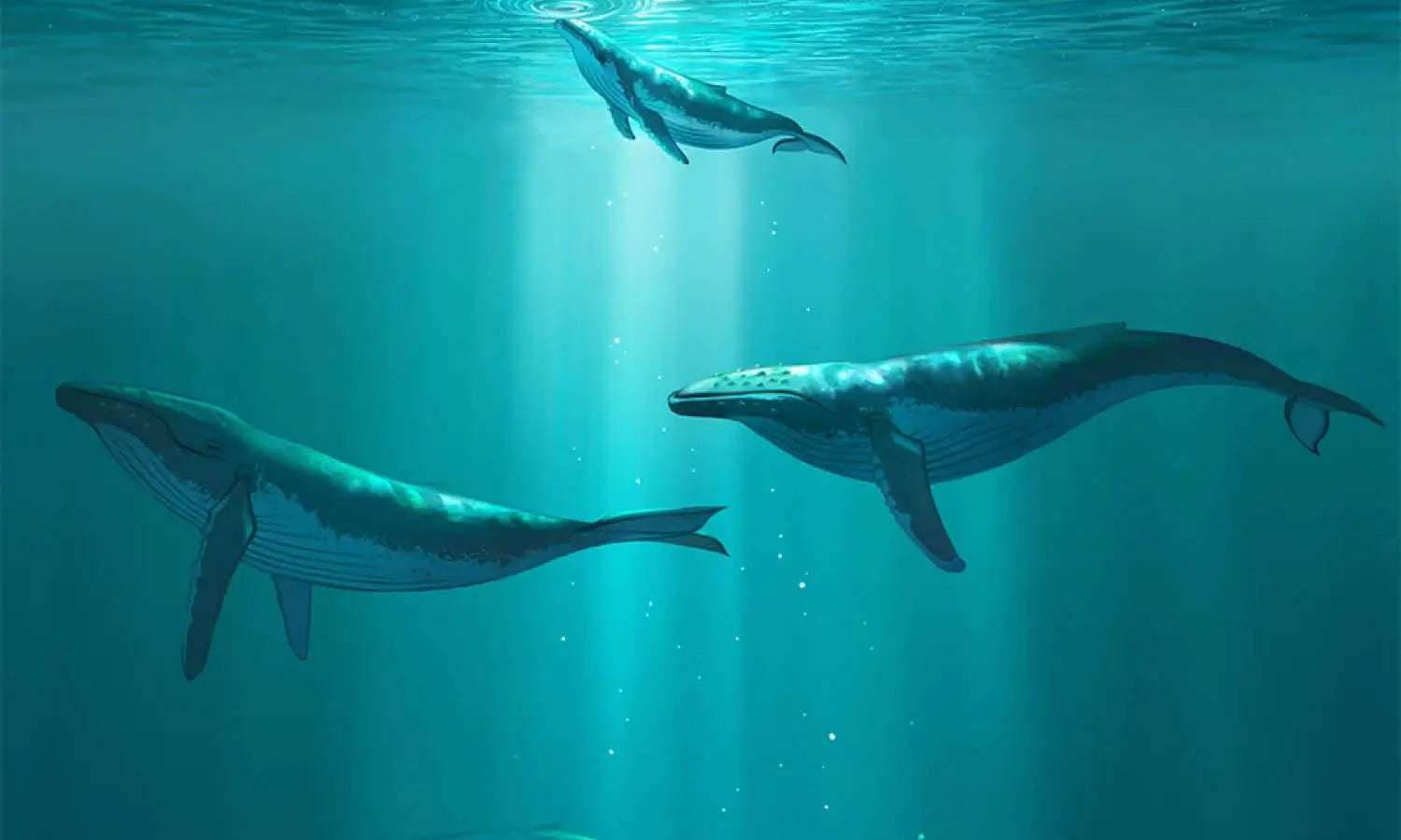 30 Best Underwater Illustration Ideas You Should Check