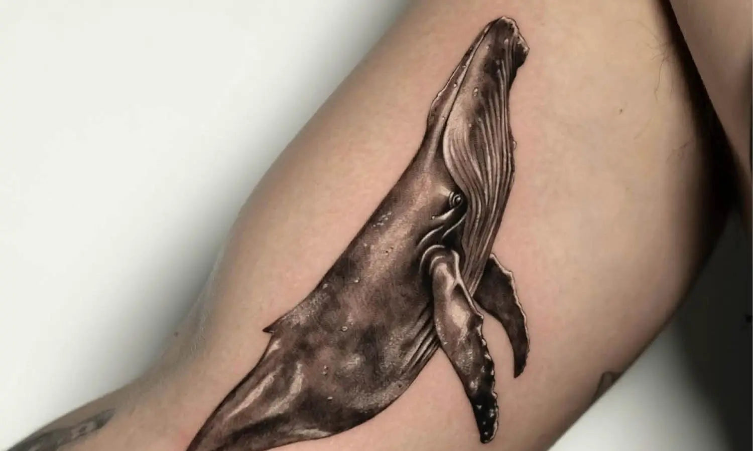 30 Best Whale Tattoo Ideas You Should Check