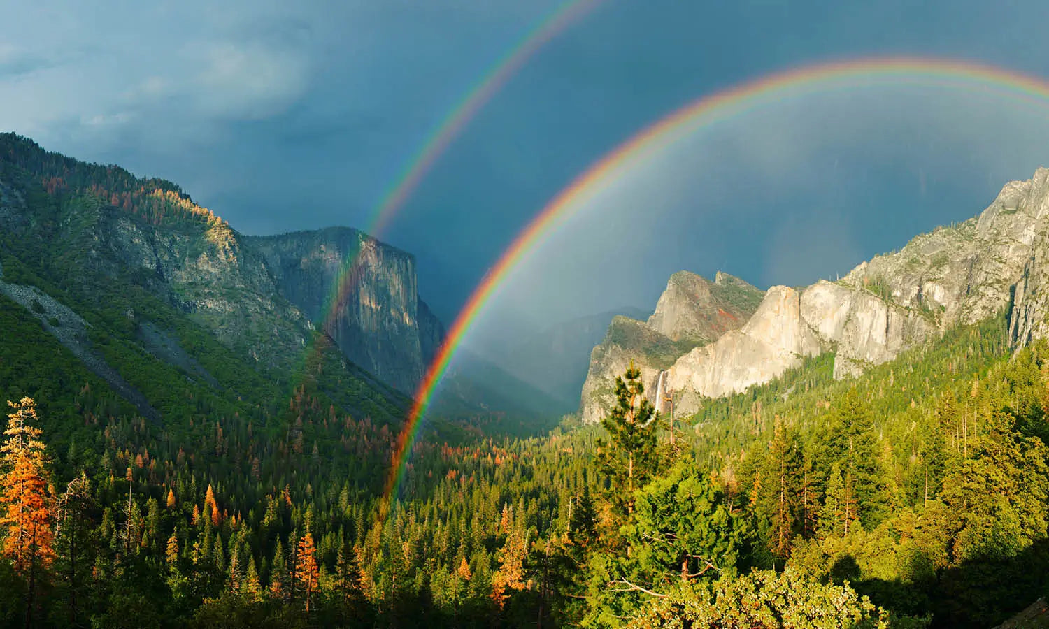 Why Do You See 7 Colors in The Rainbow?