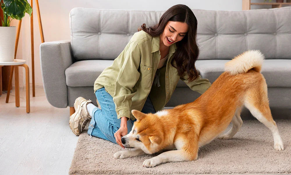 Preparing Your Home for a New Puppy: Essential Tips for First-Time Pet Owners