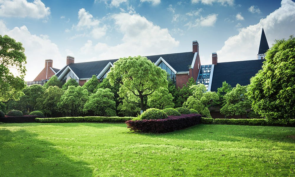 Keeping Your Lawn Healthy In The Off-Season