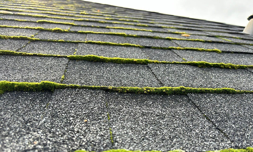 Roof Cleaning Maintenance Plans: How Often Should You Schedule?