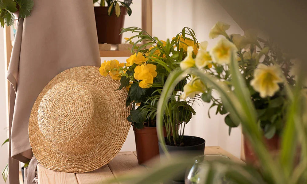 The Best Fragrant Flowers to Make Your Home Smell Amazing