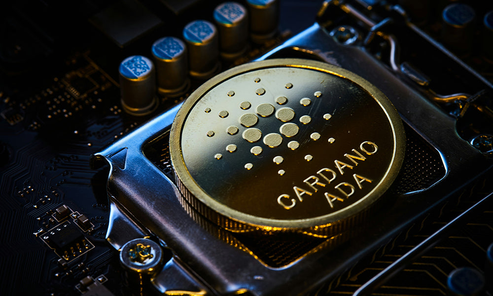 The Name Inspirations Behind The Cardano Ecosystem: Who Are These Personalities?