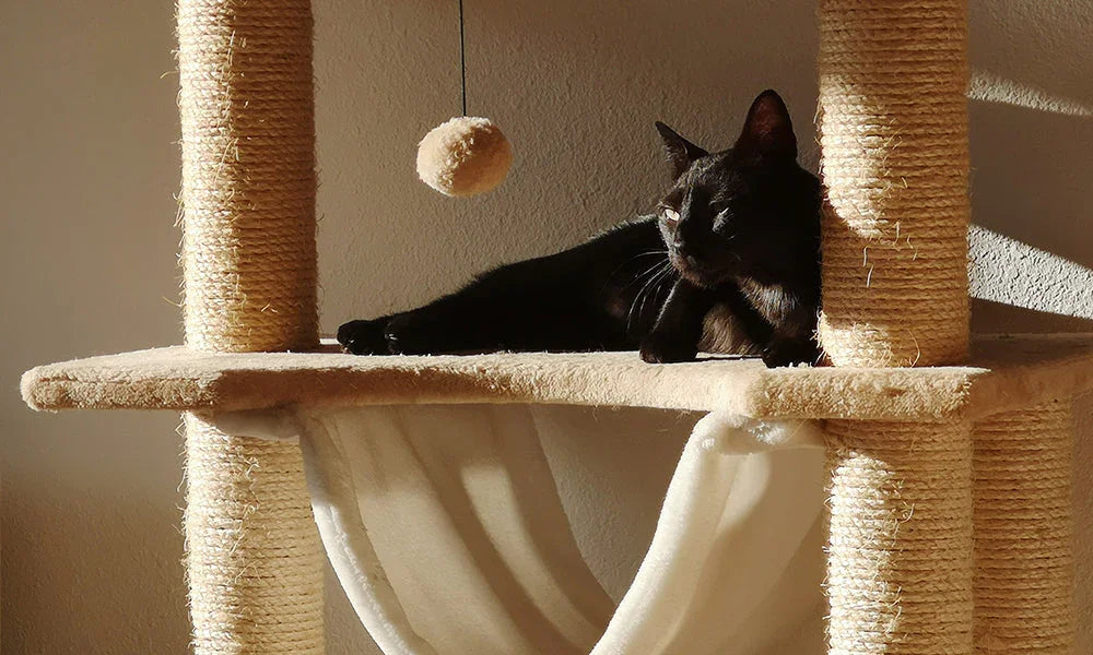 Top 5 Benefits of Having a Cat Tree at Home for Your Furry Friend
