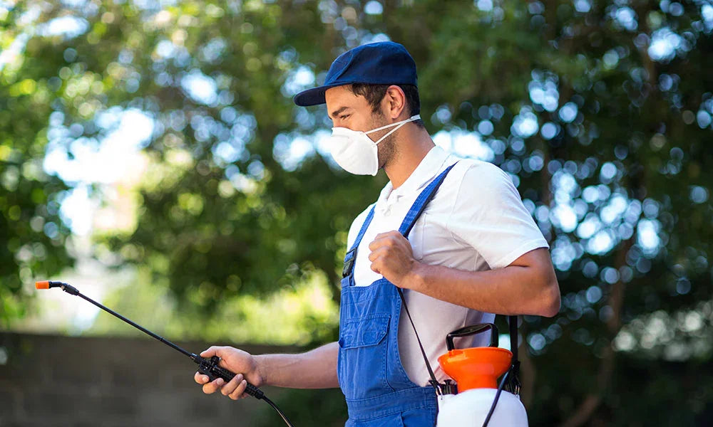 What Kind of Weed Sprayer Is Best for Gardeners?