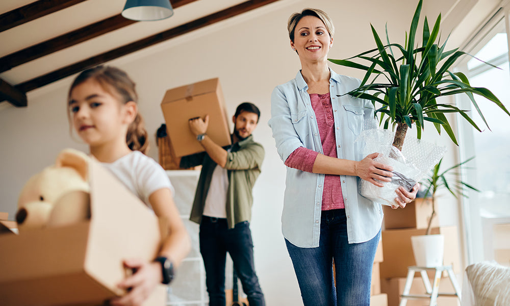 What is Interstate Moving vs Local Moving: A Professional Analysis