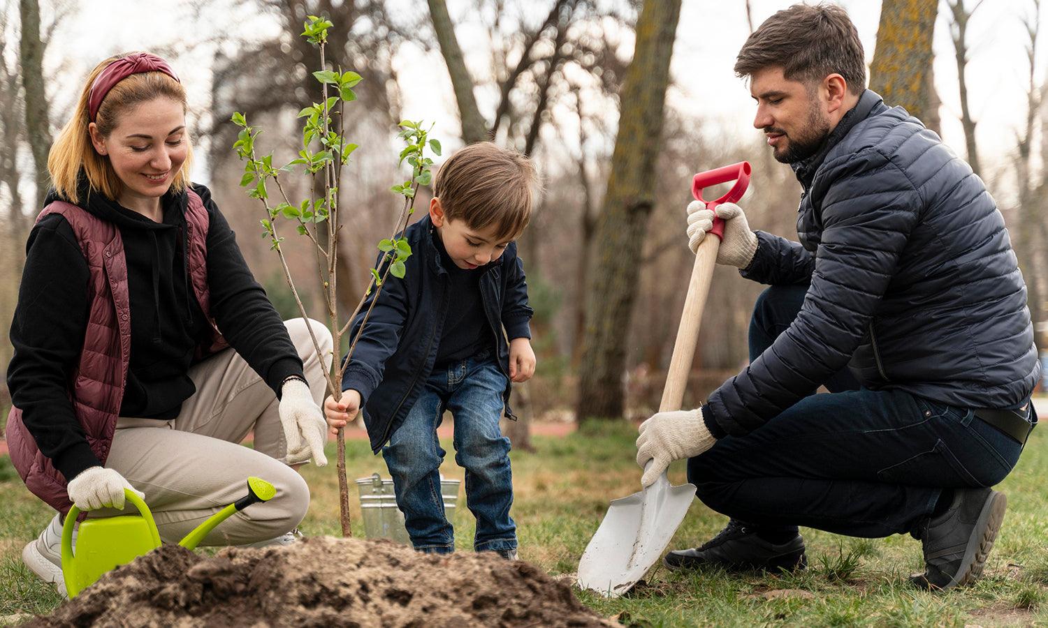 How to Introduce Your Kids to Gardening with a Greenhouse Kit - Kreafolk